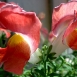 snapdragon-flower-4 snapdragon-flower-4