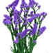 statice-flower-2 statice-flower-2